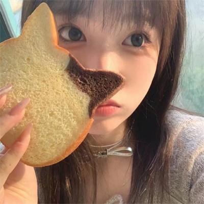树袋熊