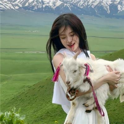 犯罪家谱